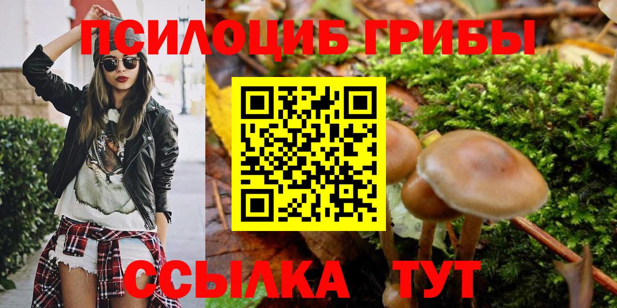 Псилоцибиновые грибы MAGIC MUSHROOMS  Вход с VPN  Троицк 